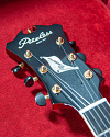 Полуакустическая гитара Peerless GigMaster Custom - купить в "Гитарном Клубе"