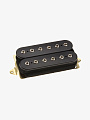 Гитарный звукосниматель DiMarzio DP156BK The Humbucker From Hell - купить в "Гитарном Клубе"