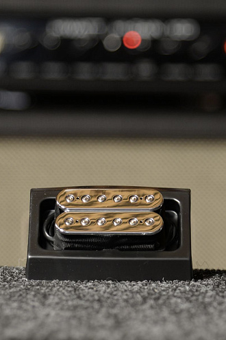 Гитарный звукосниматель DiMarzio DP158CC Evolution (Steve Vai), Neck - купить в "Гитарном Клубе"