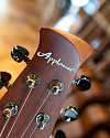 Электроакустическая гитара Ovation Applause AE44II-5 Mid Cutaway Black - купить в "Гитарном Клубе"