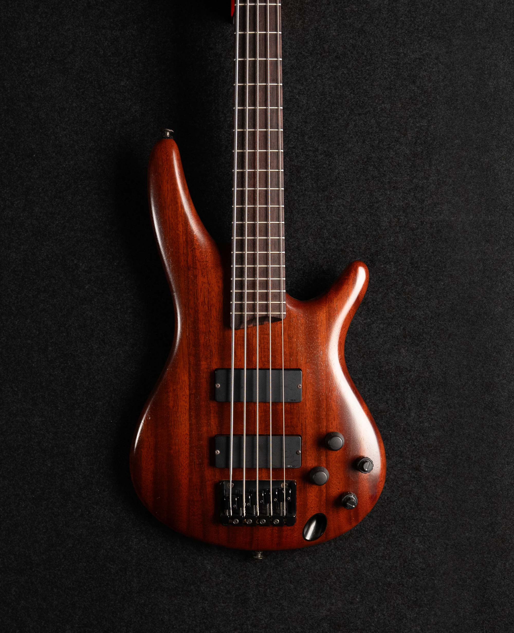 Бас-гитара Ibanez SDGR