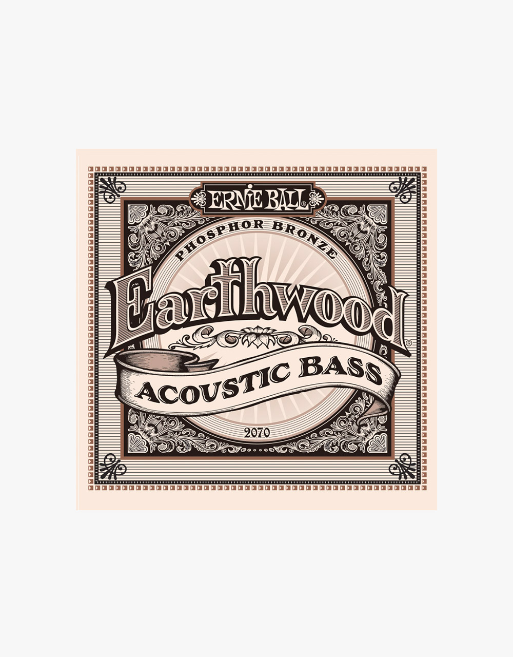 Струны для акустической бас-гитары Ernie Ball Earthwood 2070, 45-95 - купить в "Гитарном Клубе"
