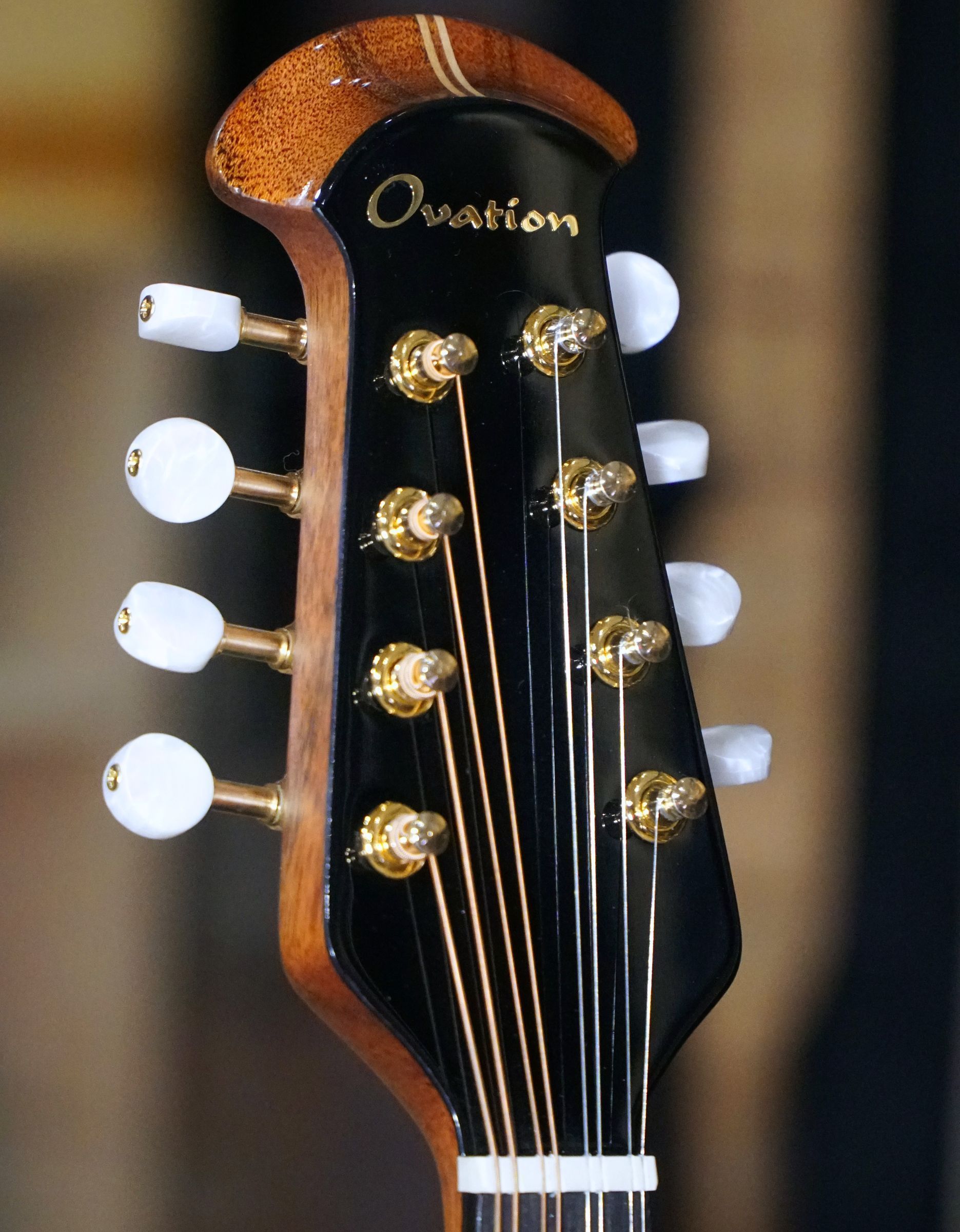 Мандолина Ovation MM68AX-5 Americana Collection Black - купить в "Гитарном Клубе"
