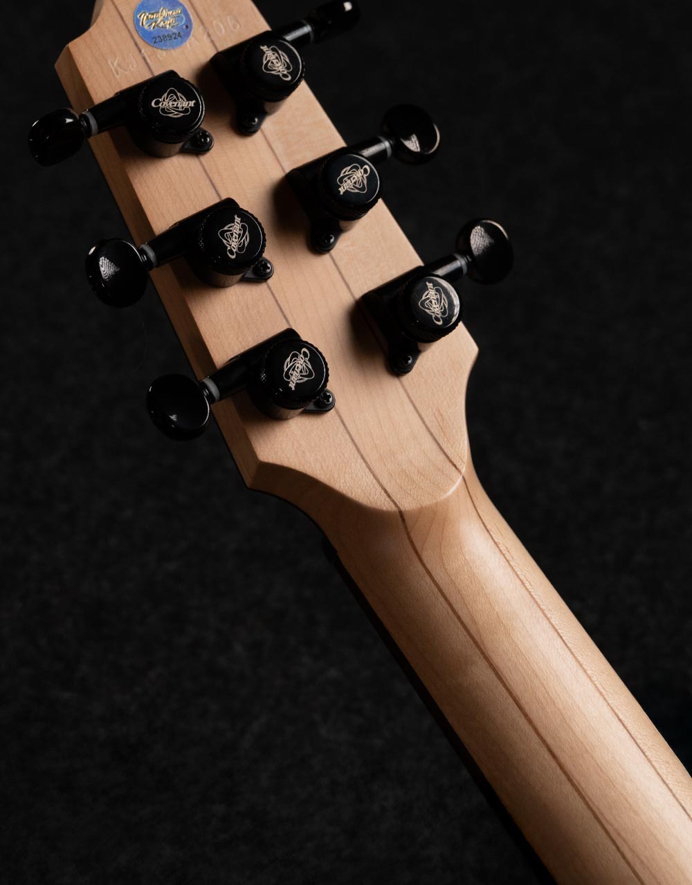 Электрогитара Covenant Custom Model Be Aurora - купить в "Гитарном Клубе"