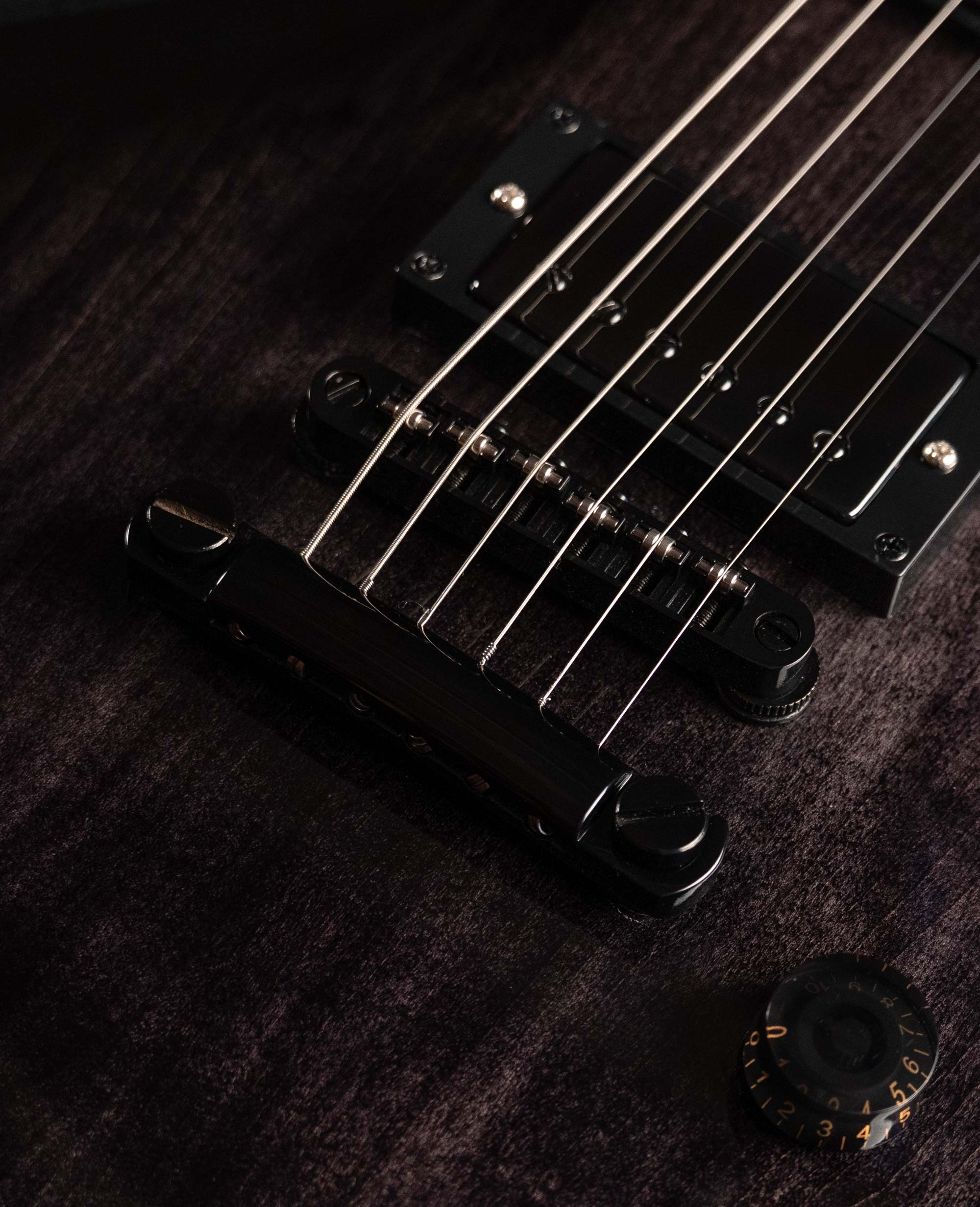 Электрогитара Inspector Les Paul Black - купить в "Гитарном Клубе"