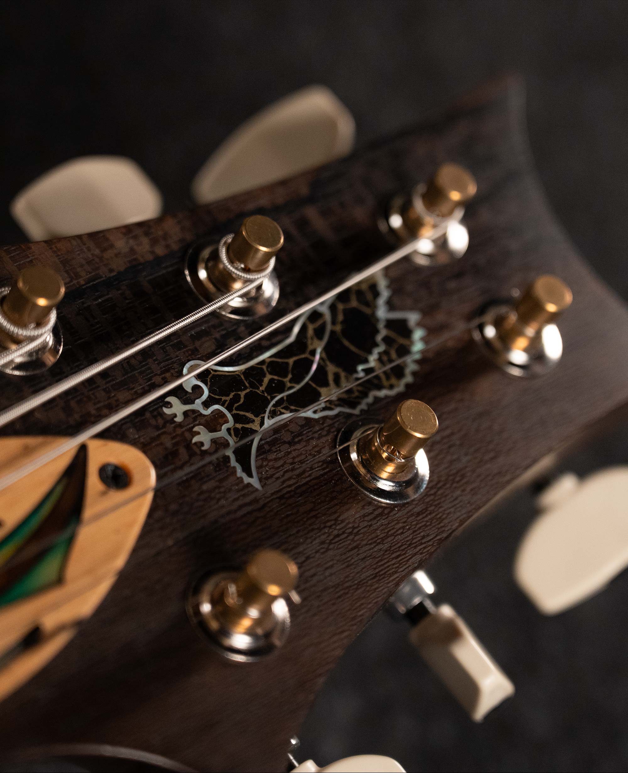 Электрогитара PRS PRIVATE STOCK 40th ANNIVERSARY DRAGON LIMITED - купить в "Гитарном Клубе"