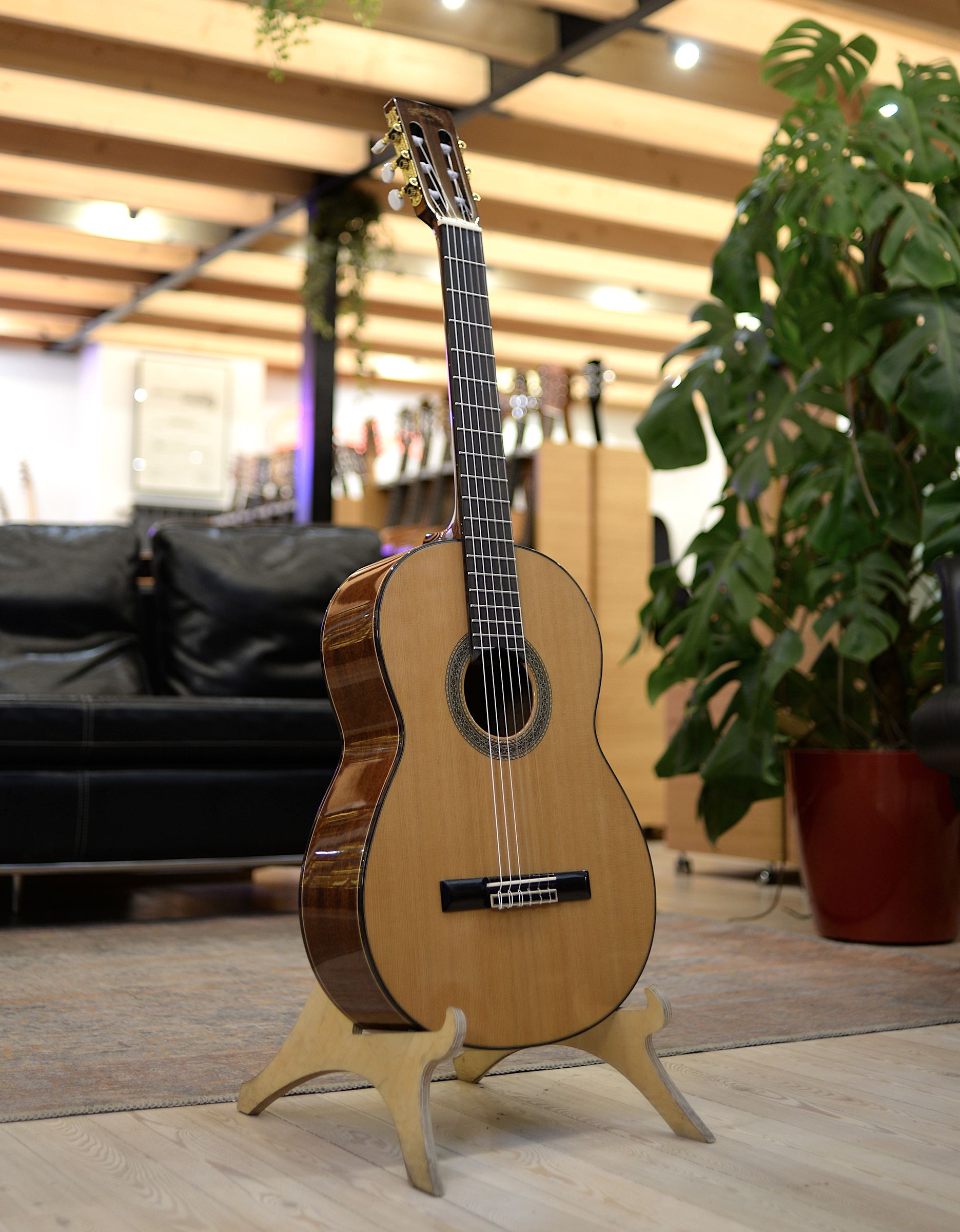Классическая гитара Sigma CM-6 - купить в "Гитарном Клубе"