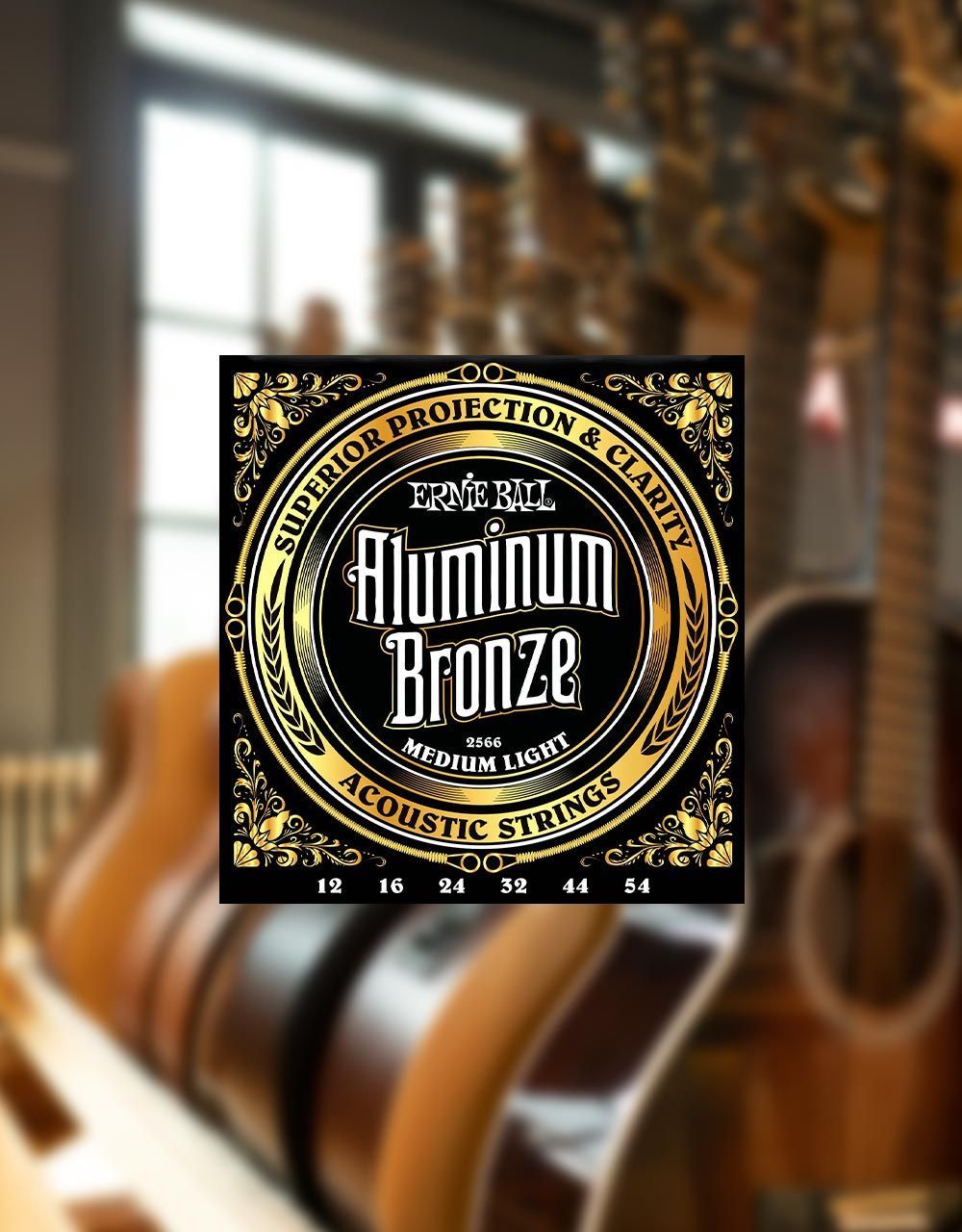 Струны для акустической гитары Ernie Ball 2566, 12-54 - купить в "Гитарном Клубе"