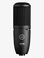 Микрофон AKG P120 - купить в "Гитарном Клубе"