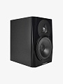 Студийный монитор Dynaudio LYD 5 B/B - купить в "Гитарном Клубе"