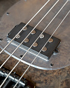 Бас-гитара Sterling StingRay RAY34-PB, Poplar Burl Top, Trans Black - купить в "Гитарном Клубе"