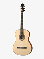 Классическая гитара Root Note RNC200-NAT - купить в "Гитарном Клубе"