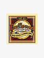 Cтруны для 12-струнной гитары Ernie Ball 2051 Silk & Steel Soft, 9-46 - купить в "Гитарном Клубе"