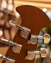 Электроакустическая гитара Ovation CS24-4 Celebrity Standard Mid-Depth Natural - купить в "Гитарном Клубе"