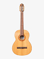 Классическая гитара New Tone Silena CL-S N/T - купить в "Гитарном Клубе"