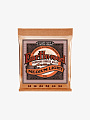 Струны для акустической гитары Ernie Ball 2146 Earthwood, 12-54 - купить в "Гитарном Клубе"