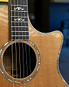 Электроакустическая гитара Taylor 914ce, 2011 - купить в "Гитарном Клубе"