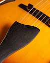 Полуакустическая гитара Eastman AR 503 CE’2020 - купить в "Гитарном Клубе"