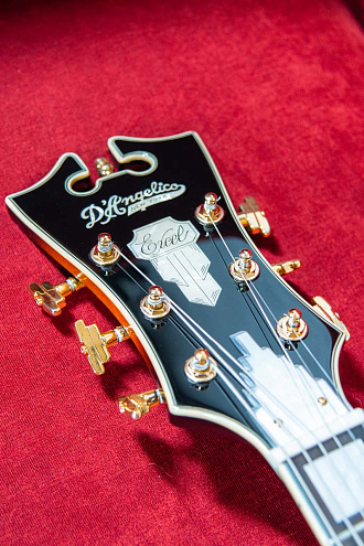 Полуакустическая гитара D