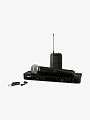 Микрофонная система SHURE BLX1288E/W85-M17 - купить в "Гитарном Клубе"