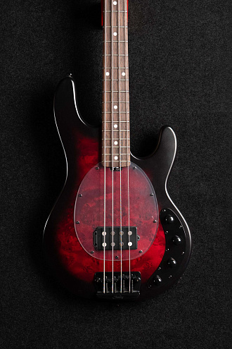 Бас-гитара Sterling StingRay RAY34PB, Poplar Burl Top, Dark Scarlet Burst Satin - купить в "Гитарном Клубе"
