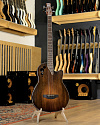 Электроакустическая бас-гитара Ovation Applause AEB4IIP-7S Mid Cutaway Honeyburst Satin - купить в "Гитарном Клубе"