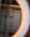 Акустическая гитара Sigma DM-1 - купить в "Гитарном Клубе"
