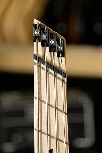 Бас-гитара Inspector Headless BLK - купить в "Гитарном Клубе"