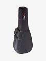 Кейс для акустической гитары PROEL PFOAM20 - купить в "Гитарном Клубе"