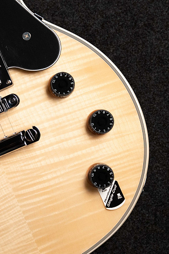 Электрогитара Schecter Solo-II Custom Gnat/Blk - купить в "Гитарном Клубе"