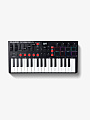 MIDI-контроллер M-Audio Oxygen Pro Mini - купить в "Гитарном Клубе"