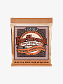 Струны для 12-струнной акустической гитары  Ernie Ball 2152 Phosphor Bronze, 10-48 - купить в "Гитарном Клубе"
