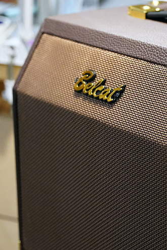 Комбоусилитель для акустической гитары Belcat Acoustic-15C, 15Вт - купить в "Гитарном Клубе"