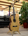 Классическая гитара Antonio Sanchez S-1005 - купить в "Гитарном Клубе"
