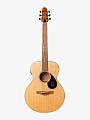 Трансакустическая гитара Covenant 170GNTE - купить в "Гитарном Клубе"