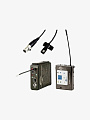 Беспроводная система Lectrosonics UCR100-SMV-21 - купить в "Гитарном Клубе"