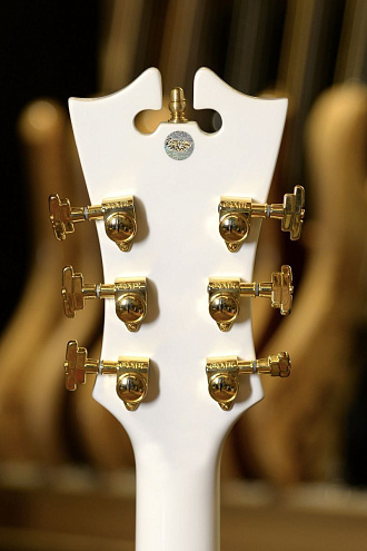 Полуакустическая гитара D