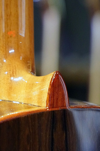 Классическая гитара Alhambra Mod. Ziricote - купить в "Гитарном Клубе"