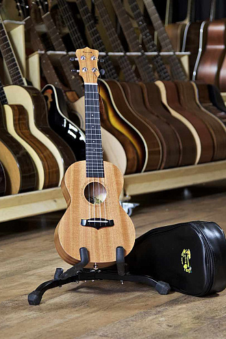 Укулеле Enya EUC-20 Concert - купить в "Гитарном Клубе"