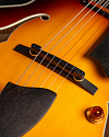 Полуакустическая гитара Eastman AR 503 CE’2020 - купить в "Гитарном Клубе"