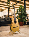 Классическая гитара Prudencio Saez Flamenco 2-FL (17) Spruce - купить в "Гитарном Клубе"